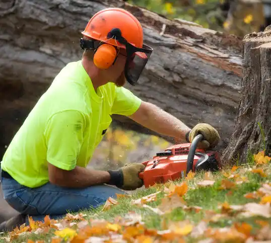 tree services Fernley